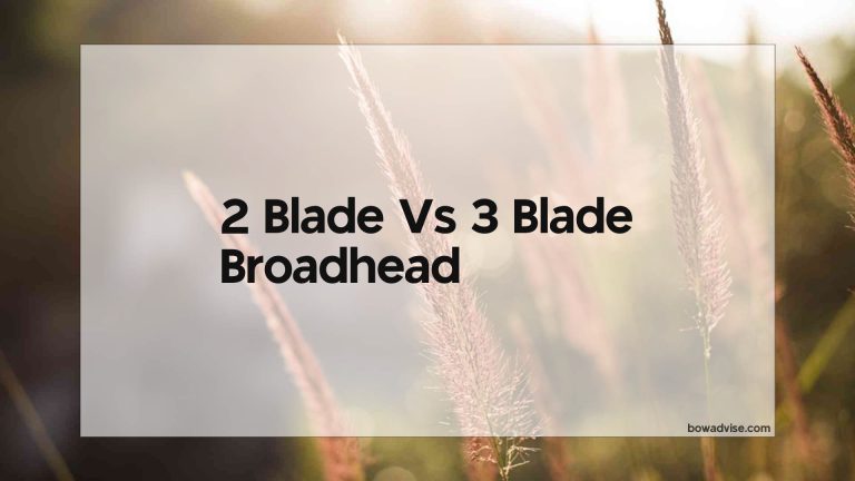 2 Blade Vs 3 Blade Broadhead
