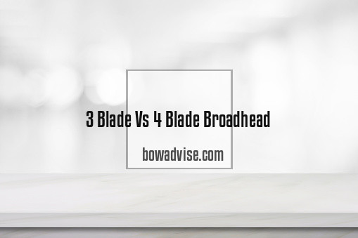 3 Blade Vs 4 Blade Broadhead