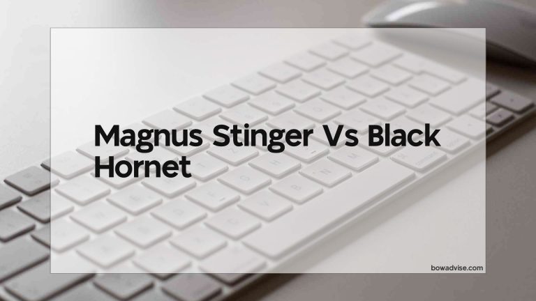 Magnus Stinger Vs Black Hornet