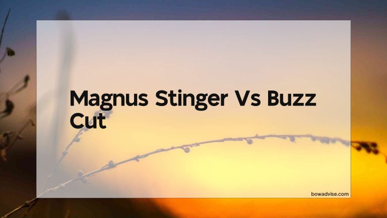 Magnus Stinger Vs Buzz Cut