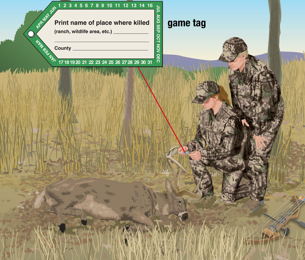 Bow Hunting Laws And Regulations