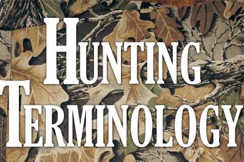 Essential Bow Hunting Terms And Jargon