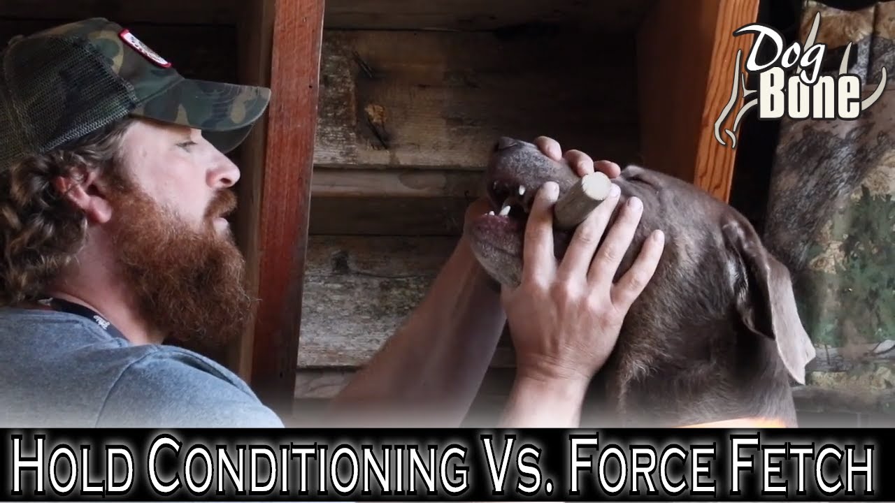 Force Fetch Vs Hold Conditioning