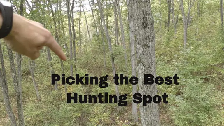 How to Choose the Perfect Hunting Spot