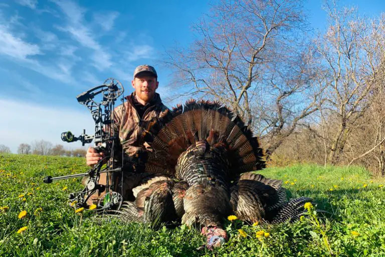 How to Hunt Turkeys With a Bow