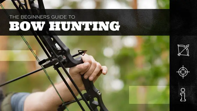 How to Start Bow Hunting: a Beginner’S Guide