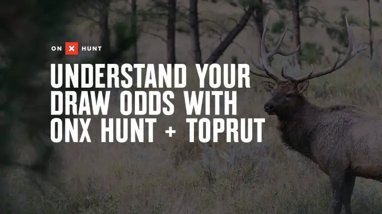 Understanding Bow Hunting Draw Odds