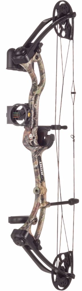 Bear Apprentice 3 Compound Bow Review