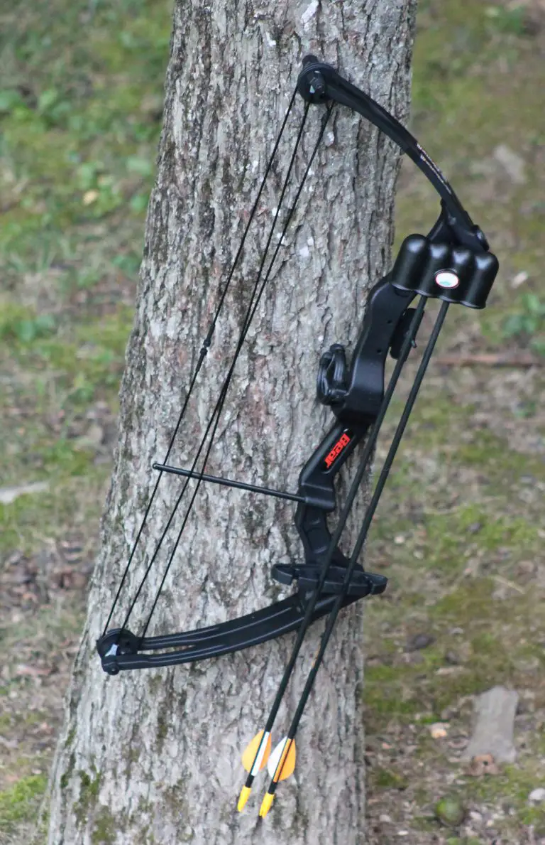 Bear Archery Brave 3 Right Hand Bow Set Review