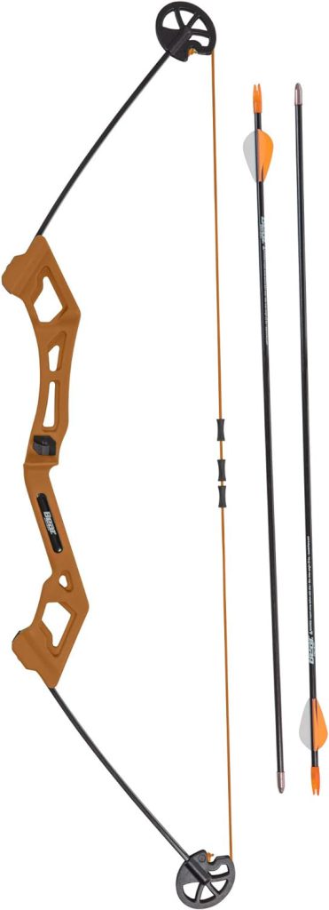 Bear Archery Valiant Bow Set for Youth, Recommended Ages 4-7, Right Handed, Continuous Draw Weight Up to 16.5 lb., Continuous Draw Length Up to 18-inches