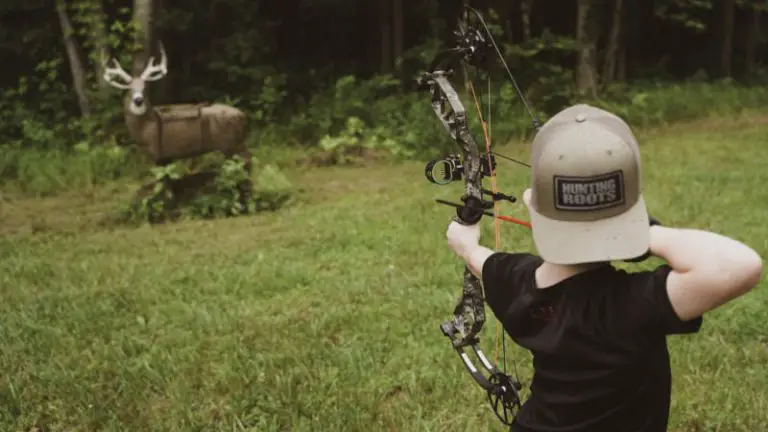 Bear Compound Bow Review