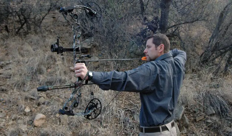 Bear Element Compound Bow Specifications: Unveiling the Power Words