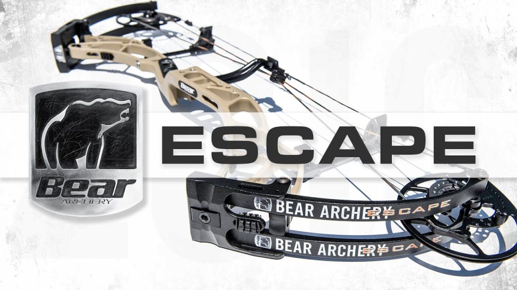 Bear Escape Bow Review