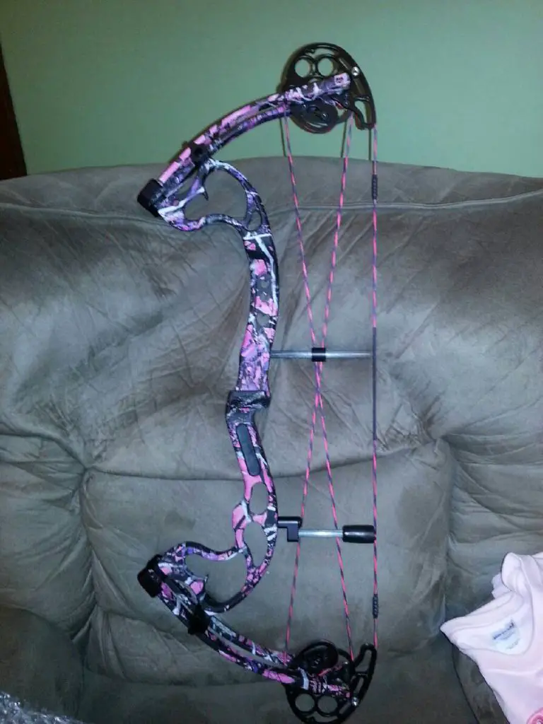 Bear Finesse Bow Review
