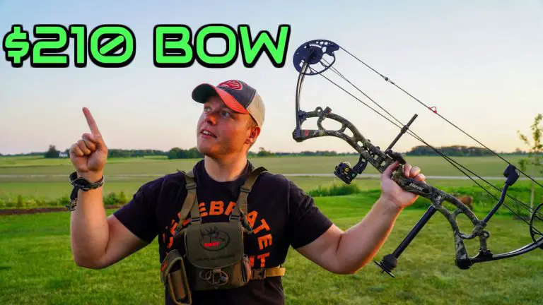 Bear Salute Compound Bow Review