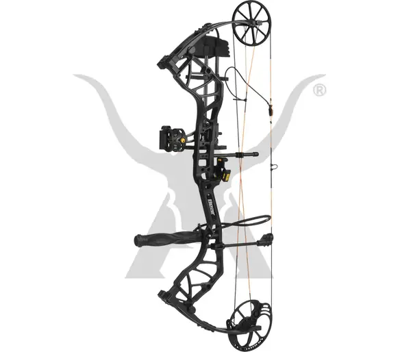 Bear Species Compound Bow Review