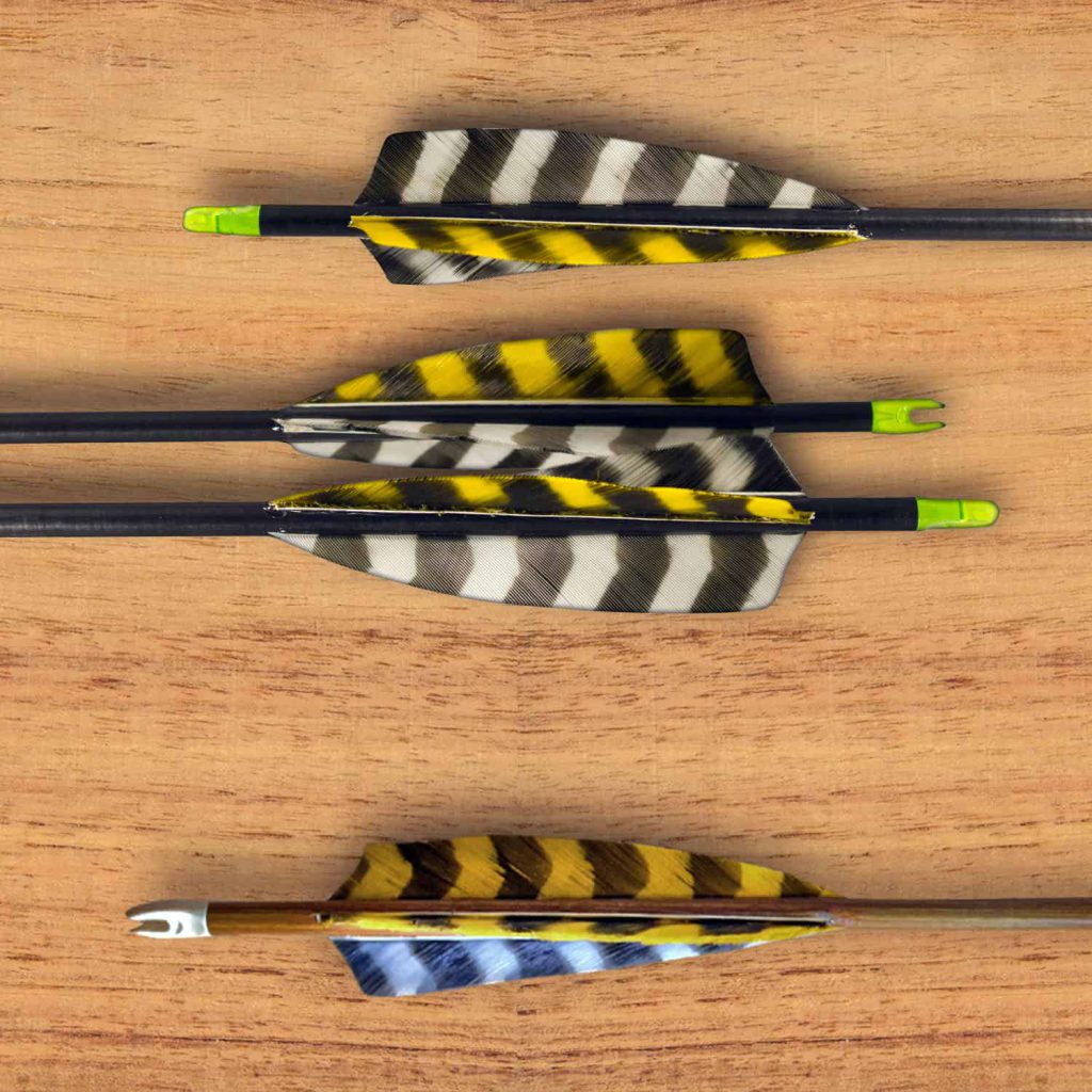 Best Feathers For Arrows