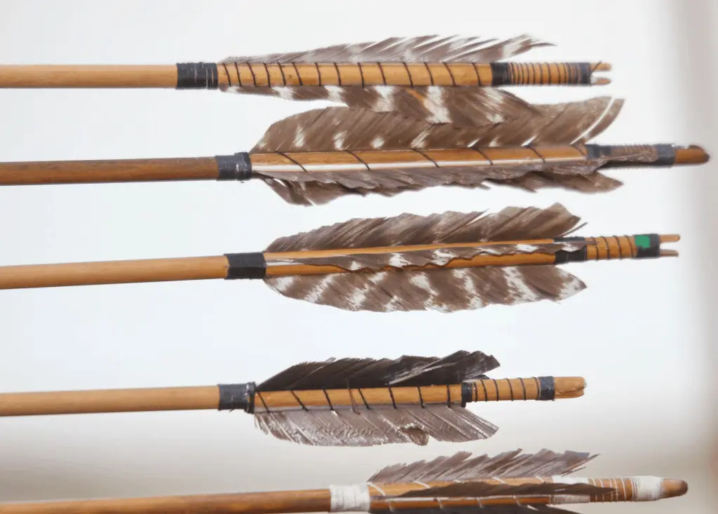 Best Feathers For Arrows