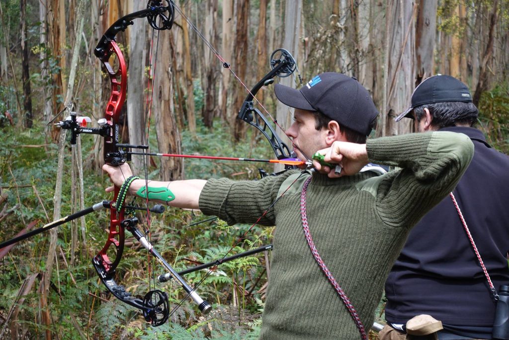 Compound Bow Shooting Left