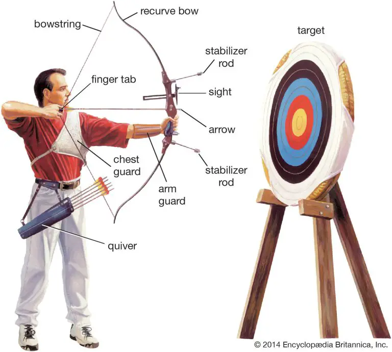 Difference Between Longbow And Recurve