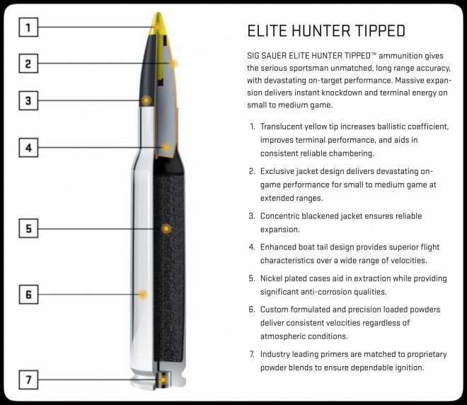 Elite Hunter Review