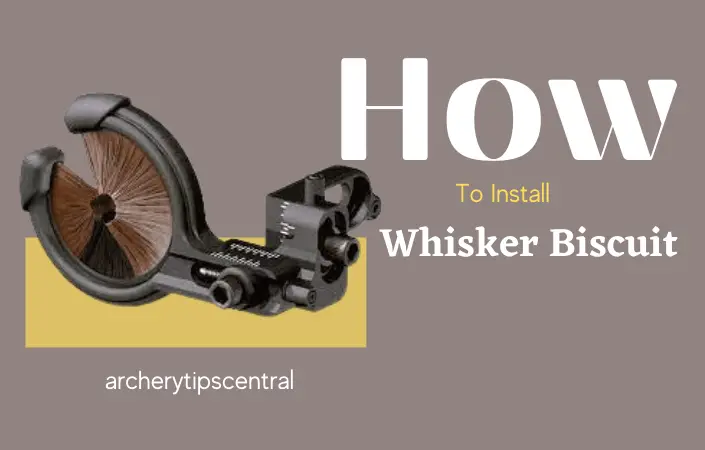 How To Install Whisker Biscuit