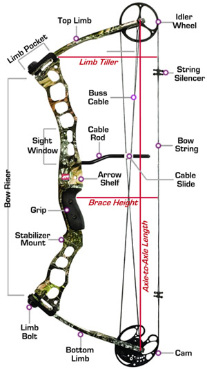 How To Measure A Compound Bow String