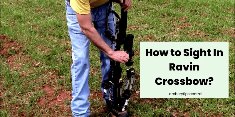 How To Sight In A Ravin Crossbow