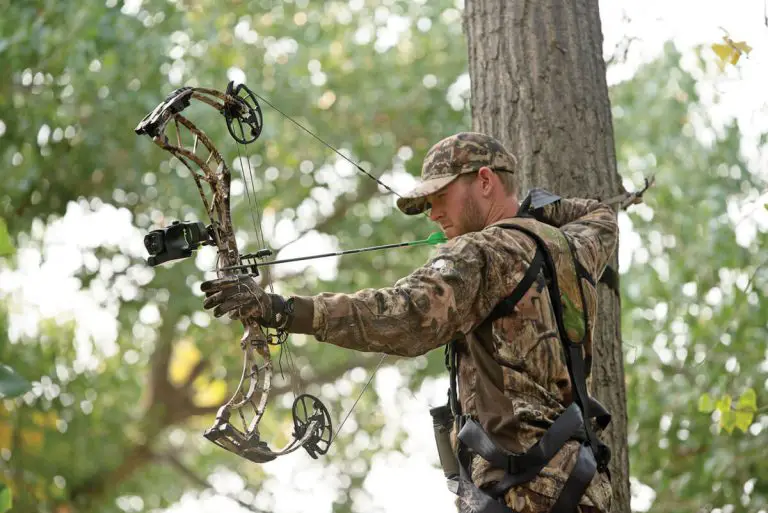 Hoyt Nitrum 34 Specifications: Unleashing Power and Precision