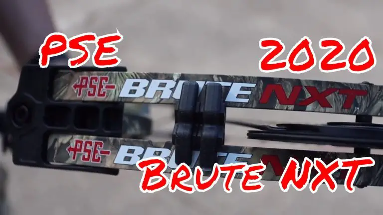 Pse Brute Nxt Problems