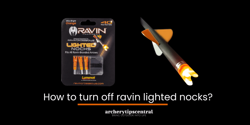 Ravin Lighted Nocks Review