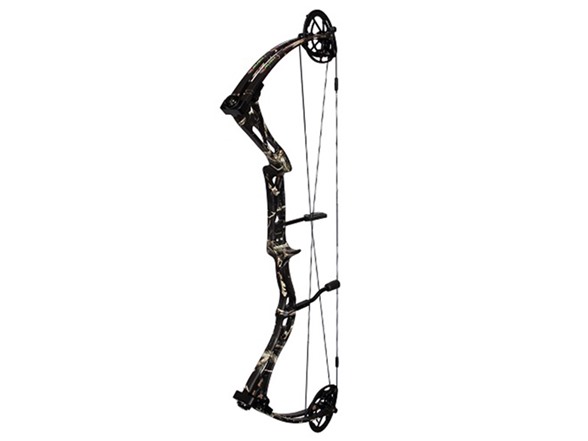 Strother SX-Rush Bow Review