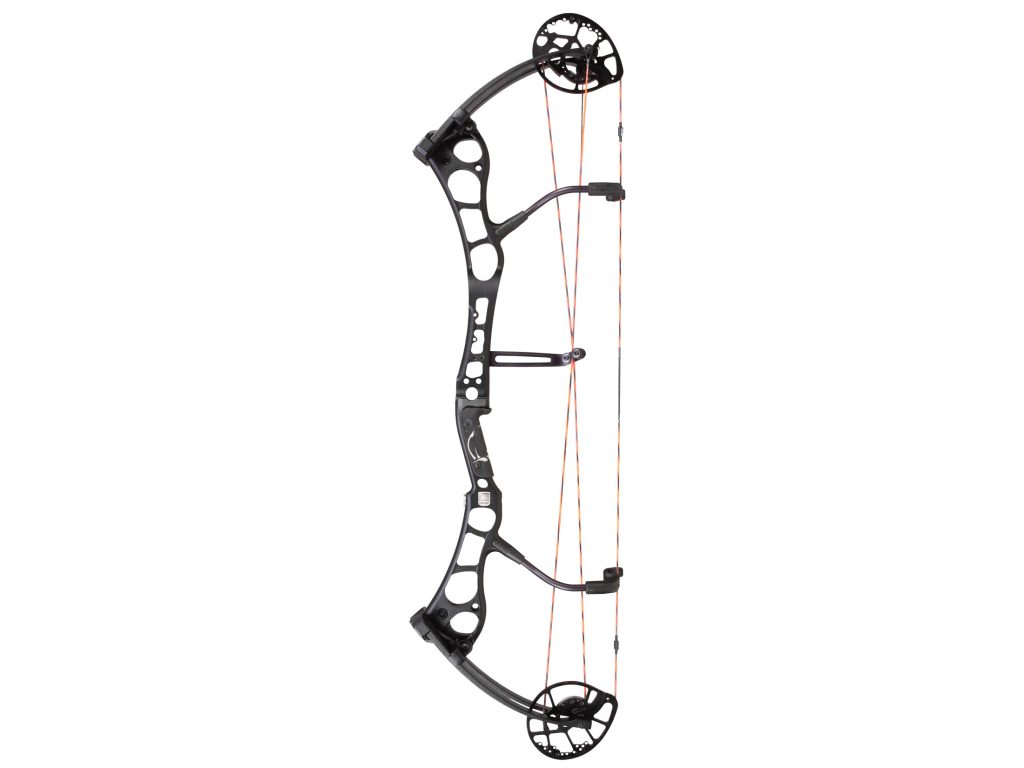 The Bear Anarchy Bow Review