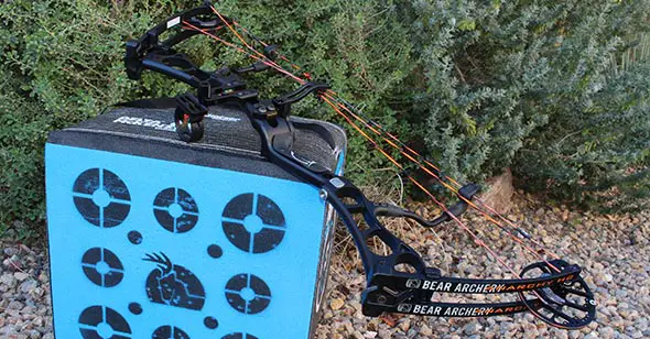 The Bear Anarchy Bow Review