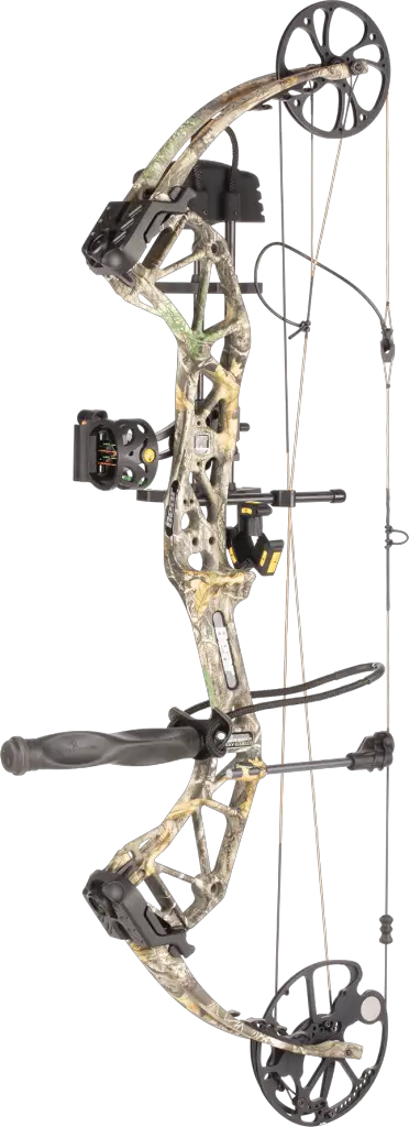 The Bear Paradox Compound Bow Review