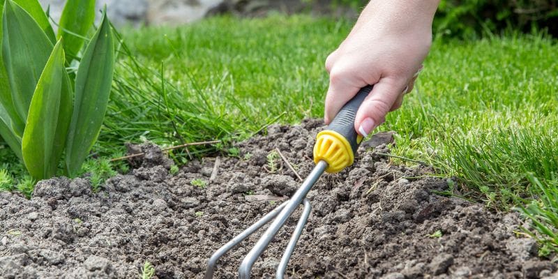 Alternatives to Consider