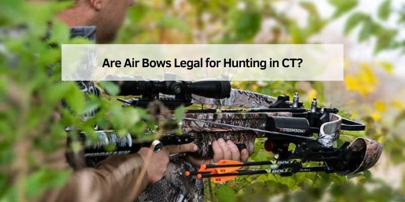 Are Air Bows Legal for Hunting in CT