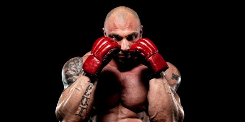 How Fans and Fighters Are Reacting