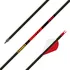 Gold Tip Hunter Arrow Shafts
