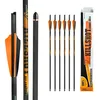 ASODROCK 20in Carbon Crossbow Bolts