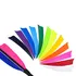 Shield Cut Turkey Feathers