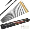 Spine 400 Carbon Arrows 12-Pack