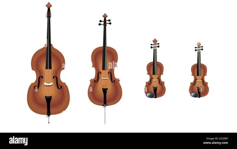 Are All String Instruments are Played With a Bow