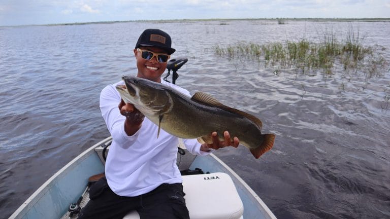 Are Bow Fish Good to Eat