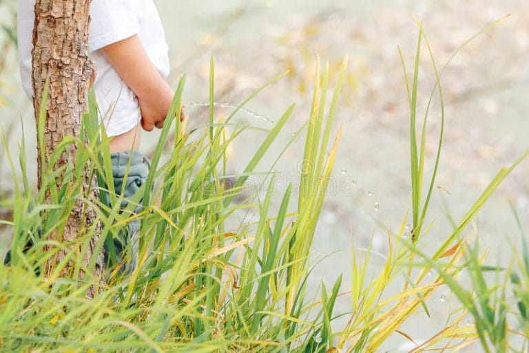 How Do Boys Pee Standing near Tree