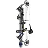 Sanlida Dragon X8 Compound Bow Package