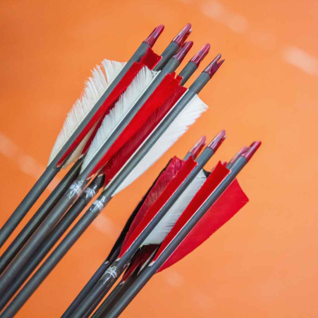 The First Step to Choosing Carbon Arrows
