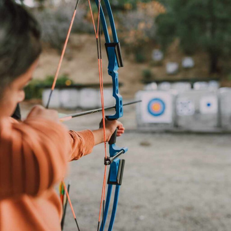Archery Arrow Rest vs Shelf
