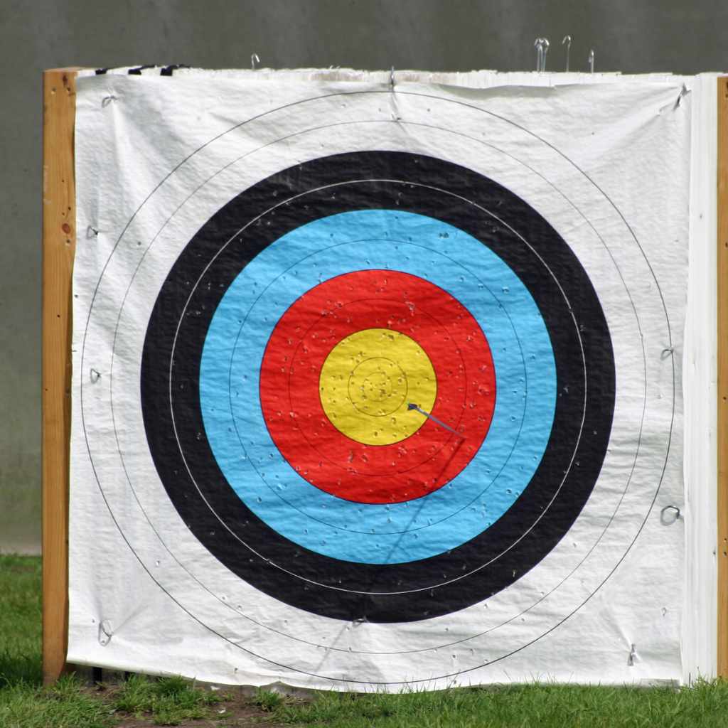 Troubleshooting Reversible Targets