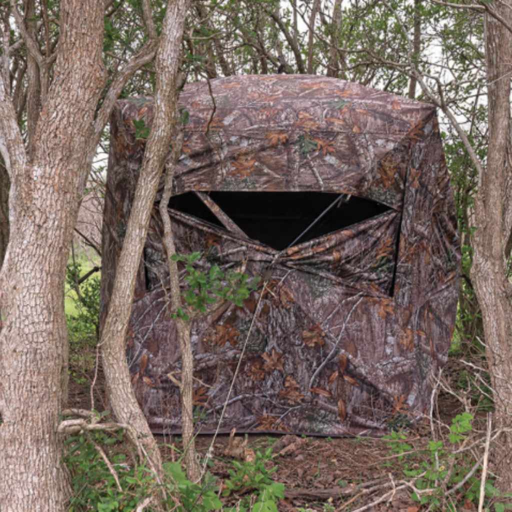 Final Confidence Boost for Beginners